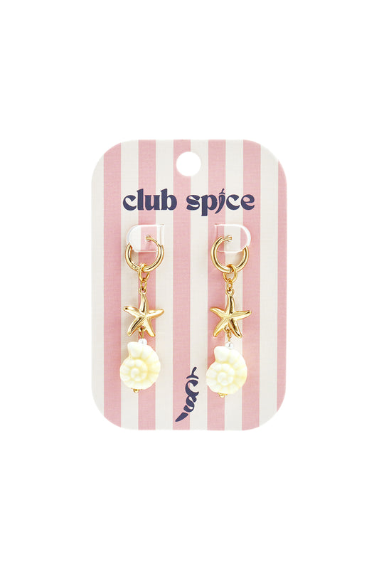 Stainless Steel Drop Earrings Shell Vacation Holiday/Beach Simple Series Women's jewelry