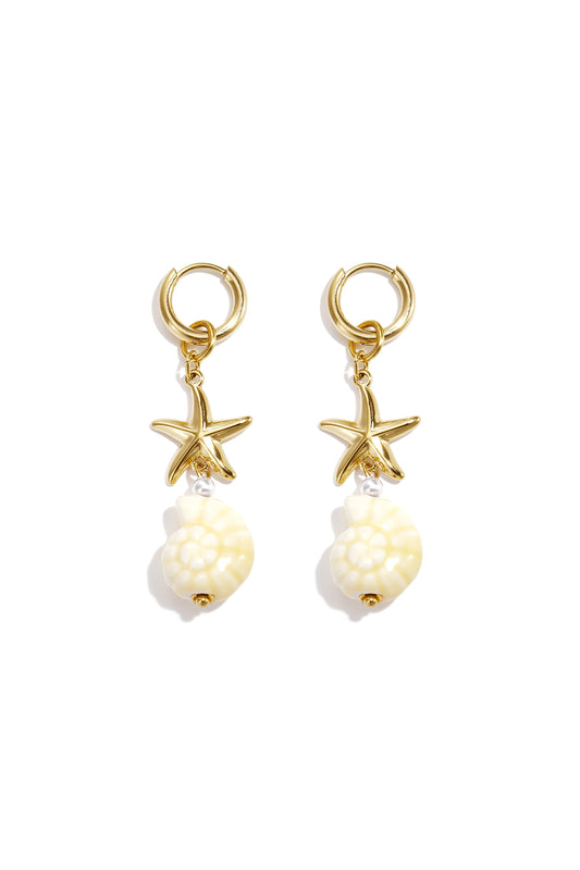 Stainless Steel Drop Earrings Shell Vacation Holiday/Beach Simple Series Women's jewelry